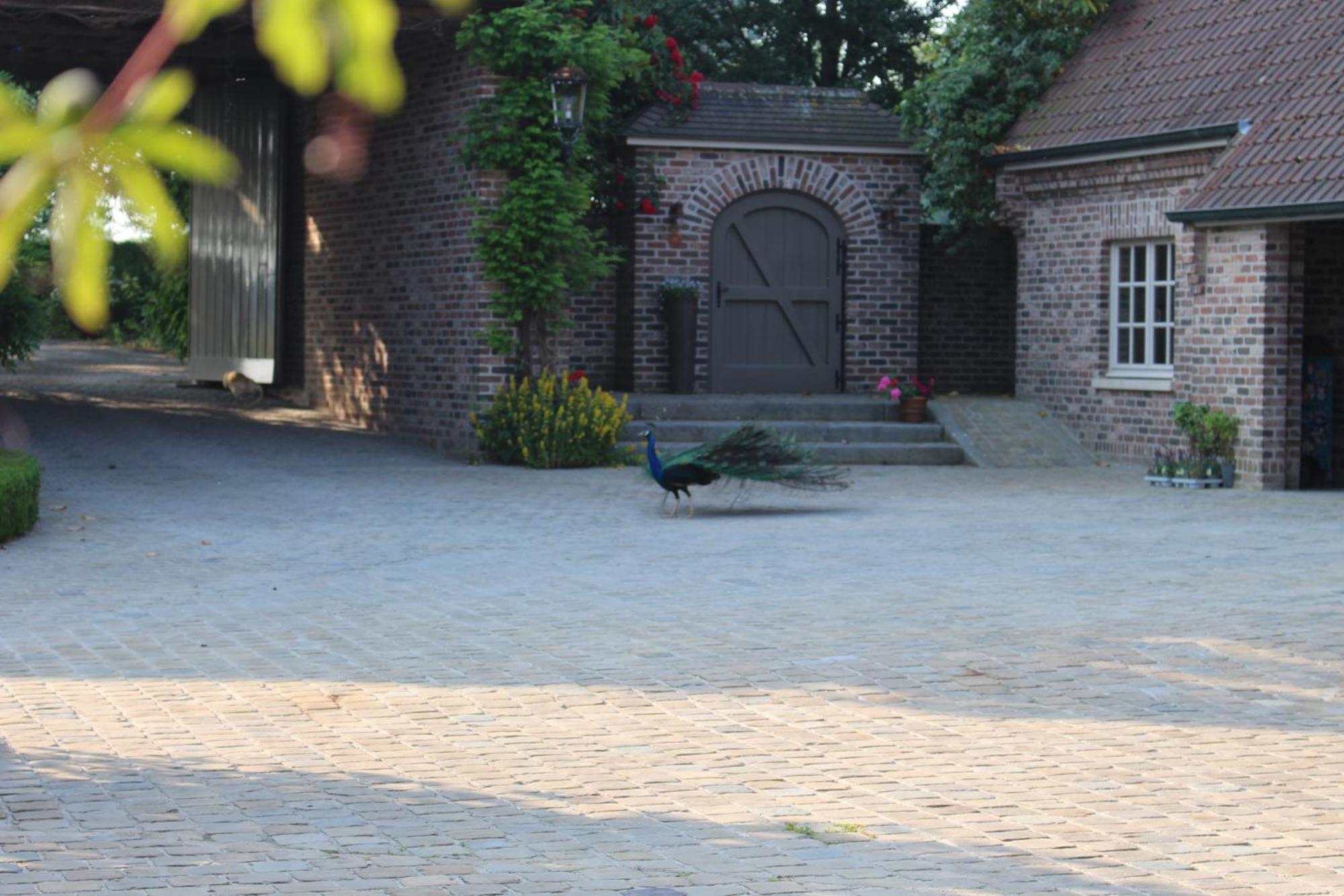 Imagine B&B Wortegem-Petegem Extérieur photo
